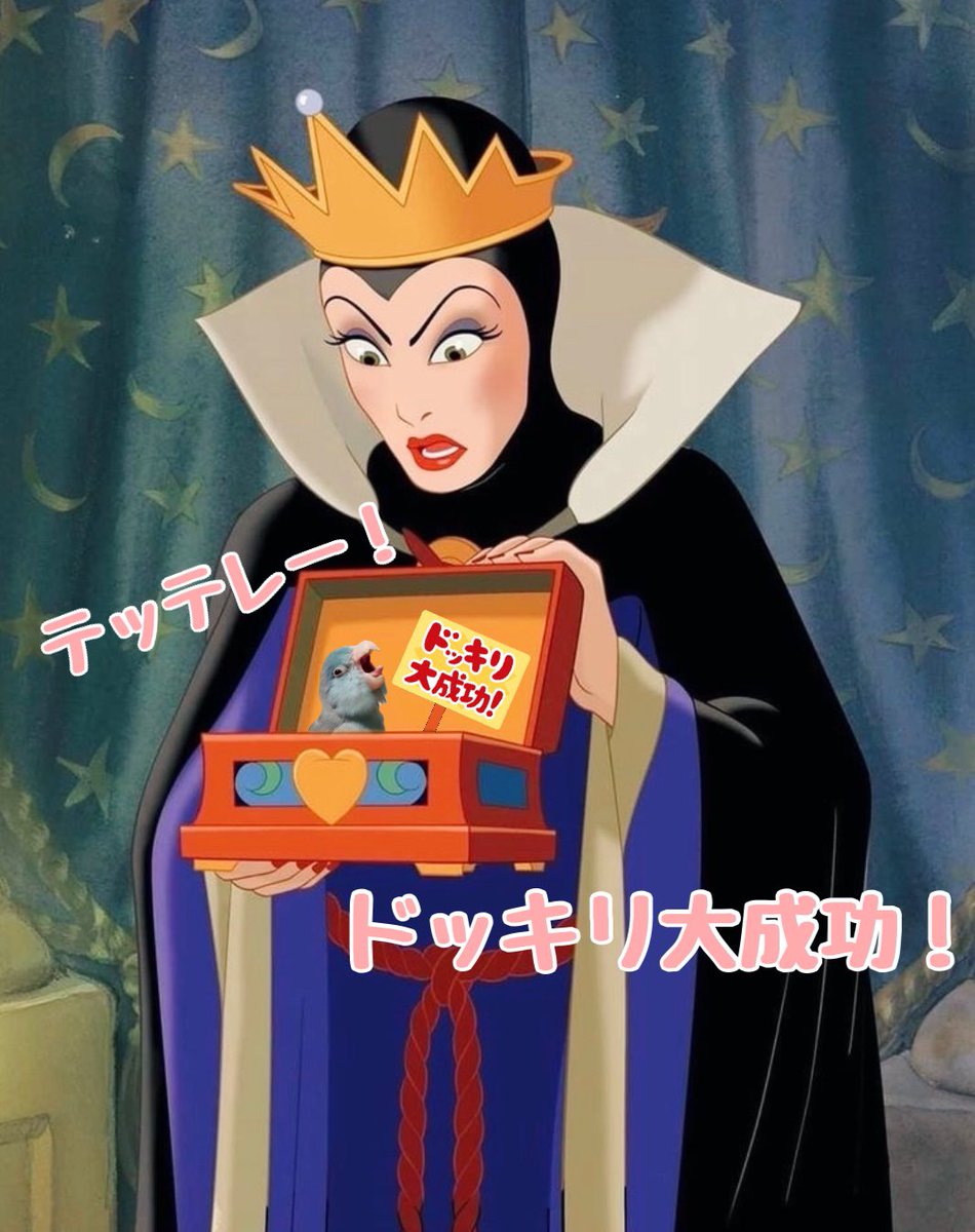 587_comugi_1015's tweet photo. 女王お姉様にドッキリを仕掛けてみたら、命の危機を感じたこむぎさん。

#マメルリハ #インコ #ディズニー
#白雪姫 https://t.co/7P9QUzYQ9l