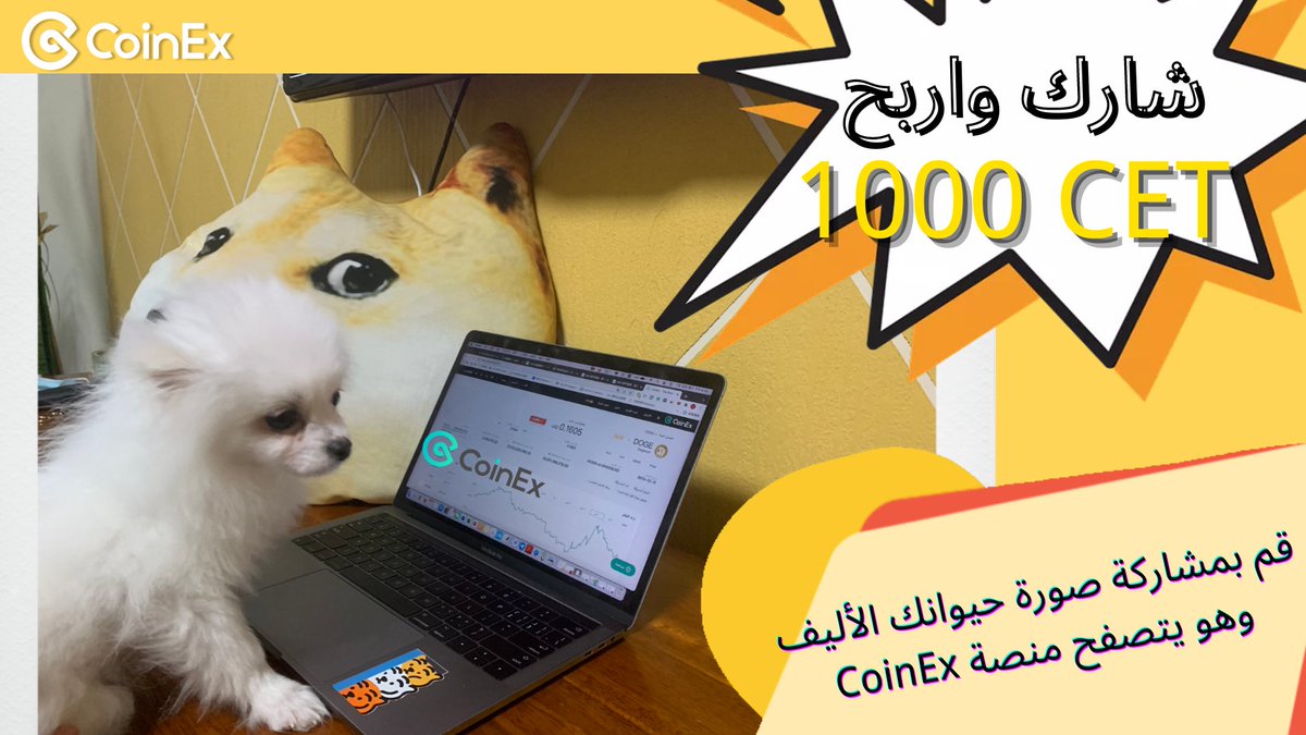 CoinEx Arabic tweet media