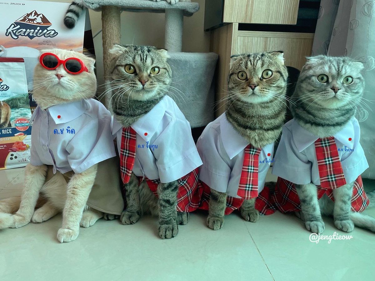 พี่เจ๋งน้องเตี๋ยวไม่ตีกันสิลูกกก tweet media