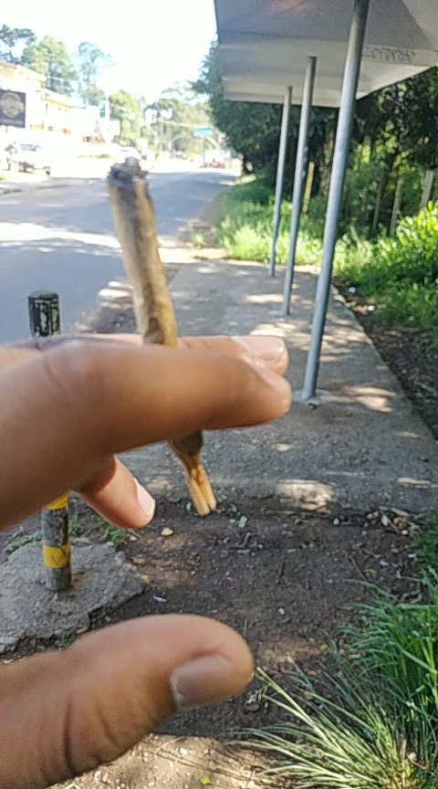Geisondavo's tweet photo. Ahhhhhh pq vc é um drogado

 Oh,minha senhora eu uso droga pra trabalhar e trabalho, pra paga minhas droga pô, vai cuida do gatinho e me deixa vai https://t.co/ne8IEd9fyU