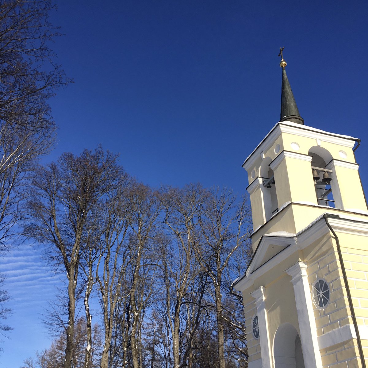 spasskoye's tweet photo. С Крещением Господним!

#спасскоелутовиново #крещение #храмспасапреображения https://t.co/qM0gQnJWXZ