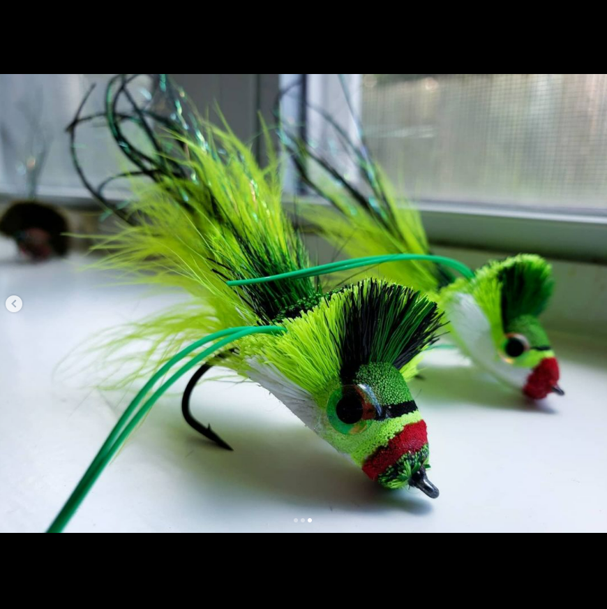Saltwateronfly's tweet photo. Some pretty mean looking divers
by @flyfishinbassman
Matching 2/0 and #1 sets
#deerhairfly #flyfishing #flytying #bassbug #bassonthefly #superflushy #bigflush #flushlife #bassfishing #bassflies #stayfly #igtexas #onecast #onthefly #saltwateronthefly
https://t.co/XFzjXIzdWg https://t.co/xEmuVfbMob