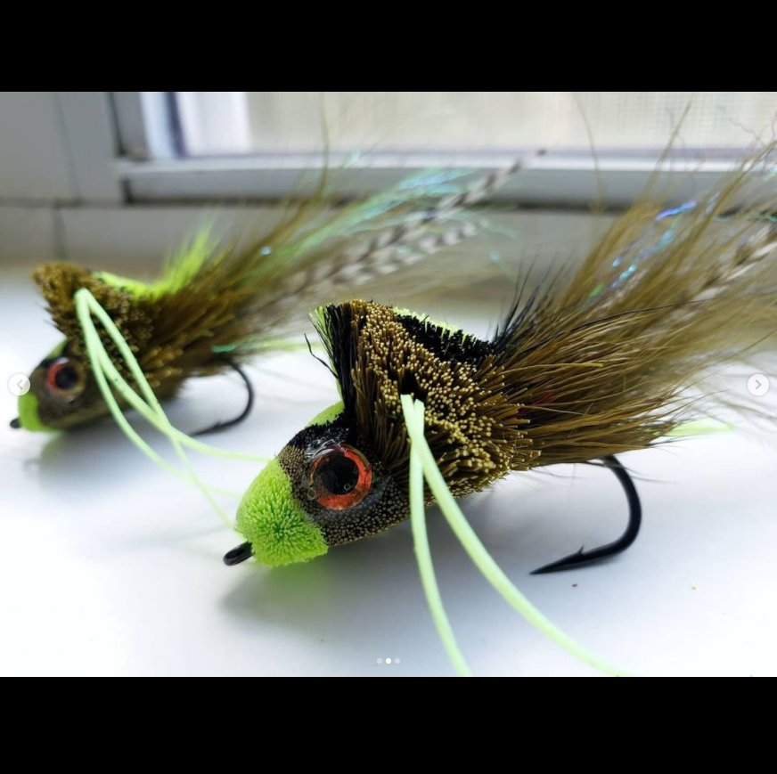 Saltwateronfly's tweet photo. Some pretty mean looking divers
by @flyfishinbassman
Matching 2/0 and #1 sets
#deerhairfly #flyfishing #flytying #bassbug #bassonthefly #superflushy #bigflush #flushlife #bassfishing #bassflies #stayfly #igtexas #onecast #onthefly #saltwateronthefly
https://t.co/XFzjXIzdWg https://t.co/xEmuVfbMob