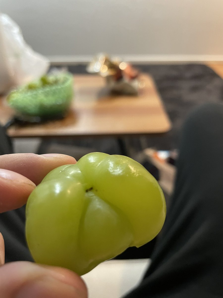 桃太郎 tweet media