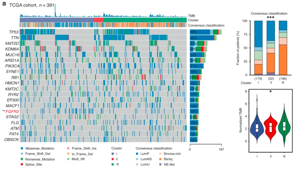 BrJCancer's tweet photo. TIGIT and PD-1 expression atlas predicts response to adjuvant chemotherapy and PD-L1 blockade in muscle-invasive bladder cancer
Read for free using #SharedIt: https://t.co/4USyIW0Xx7
#Cancermicroenvironment #Immuneevasion #Immunotherapy #Predictivemarkers https://t.co/ks62pcfxbC