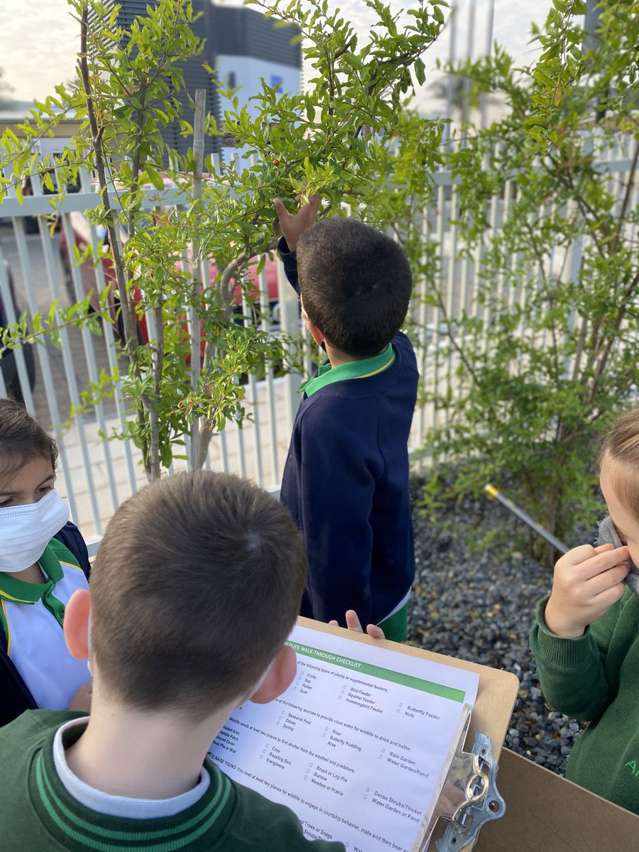 ArborEnviro's tweet photo. Before we take collaborative action to improve and conserve wildlife in our @ArborDubai community, we need to look for what is here ✅... Do we have the elements we need to attract wildlife naturally? What can we design and build to make sure this can happen?💭 @ArborYear2 https://t.co/jWiIOfWrFE