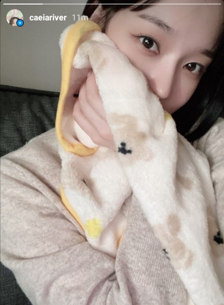 ganito po ba ang fleet tweet?