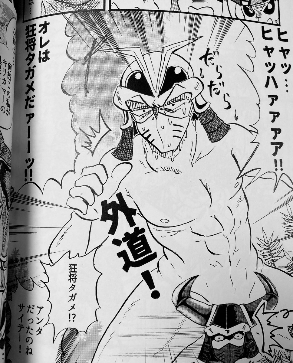 5億年ぶりに自分の昆虫本読んだんだけど無茶苦茶すぎて元気出たwwwwwwあまりにも自由!!! 