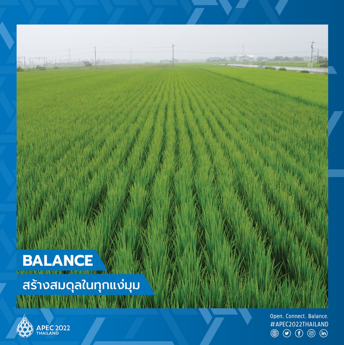 Balance in all aspects. The BCG Economy model will serve as the main vehicle to our solution. This includes a declaration outlining common goals with clear conviction in supporting the responsible business practices while putting an emphasis on sustainability.