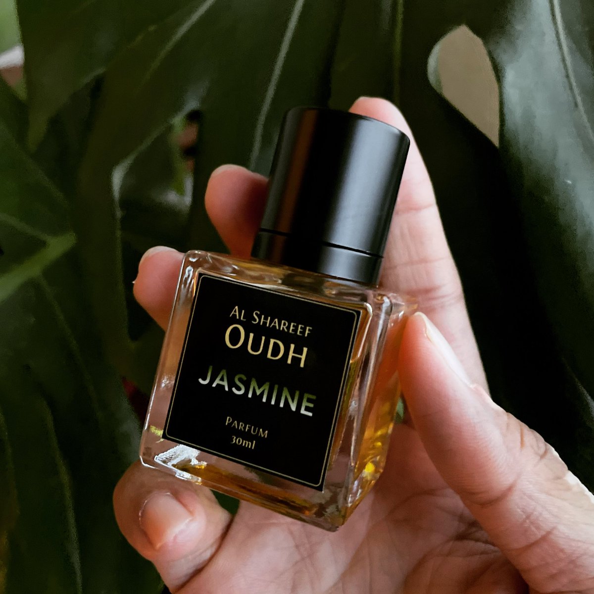 Rehla Design tweet media