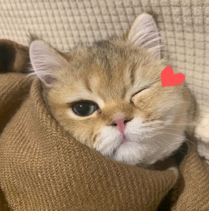 winkeu 😉
#Jungsu #정수