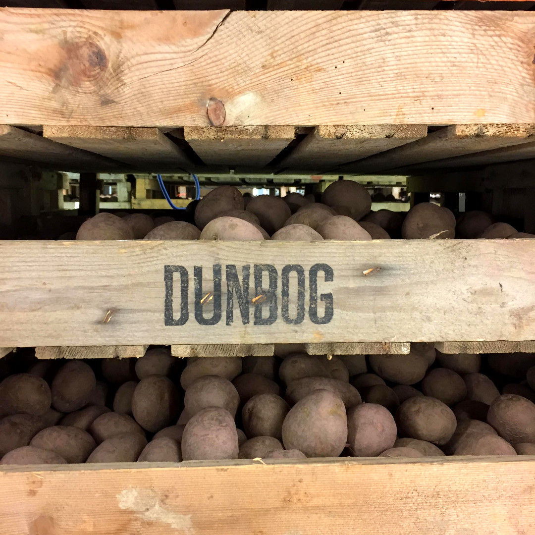 Humdinger Produce tweet media