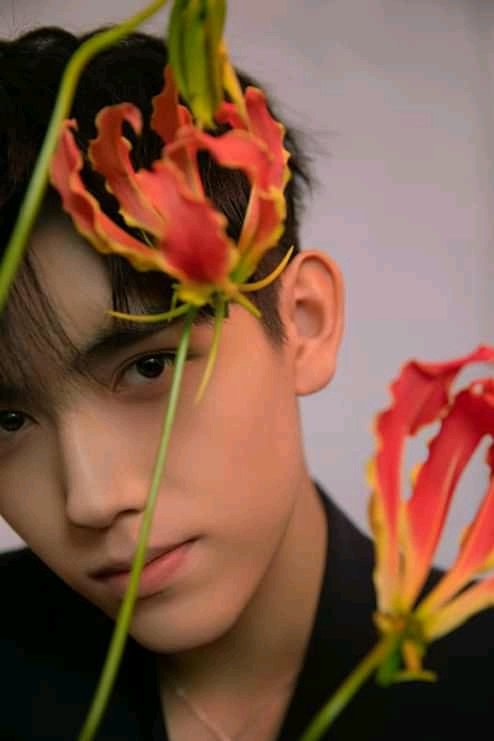 My face would be unfamiliar around here but I hope it doesn't stop us to befriend each other. I, Chen Feiyu or Arthur hereby welcome everyone to be my friend. I provide a long lasting conversation ahead! You can simply drop a hi or topic to start it.

RTs would be appreciated!