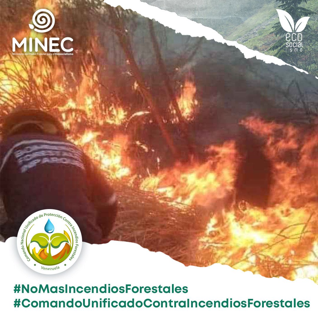 Los Incendios Forestales son los eventos generadores de daños con el mayor potencial destructivo sobre ambientes naturales, debido a que en pocas horas, pueden afectar el esfuerzo de conservación de muchas décadas en estos espacios naturales protegidos.
<a href="/MinecOficialVe/">Minec Oficial</a>