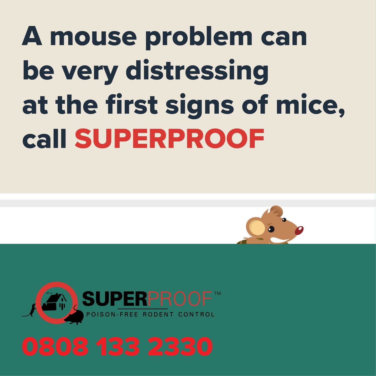 TeamSuperProof's tweet photo. You've seen the news stories and thought “glad that’s not me!” but mouse problems are more common than you think.
https://t.co/Rdq9pkHrHd
For mouse proofing across London &amp; the South East, call 0808 133 2330 or email superproofme@superproof.co.uk
#signsofmice #mouseproofing #mice https://t.co/vUEZAYG8yS