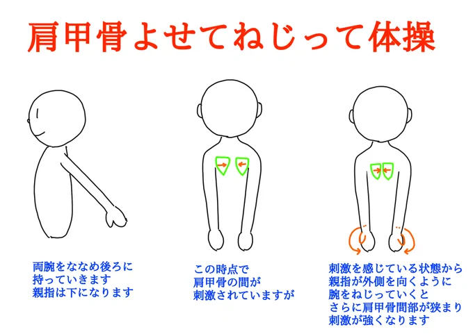 今日も一日お疲れ様でした
肩甲骨の周りは
すごくこるんですよね
こちらの体操で
しっかりほぐしてみてください(^^) 