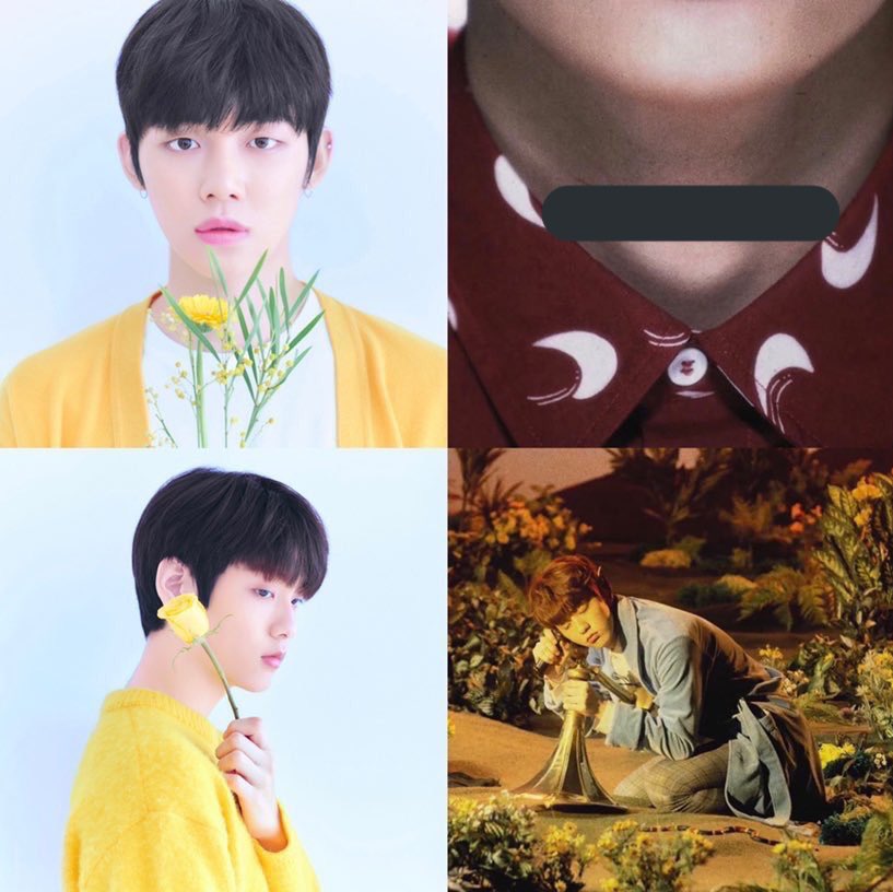 mycyj_txt's tweet image. โนๆ ใบ้ตั้งแต่ก่อนเด555555😭