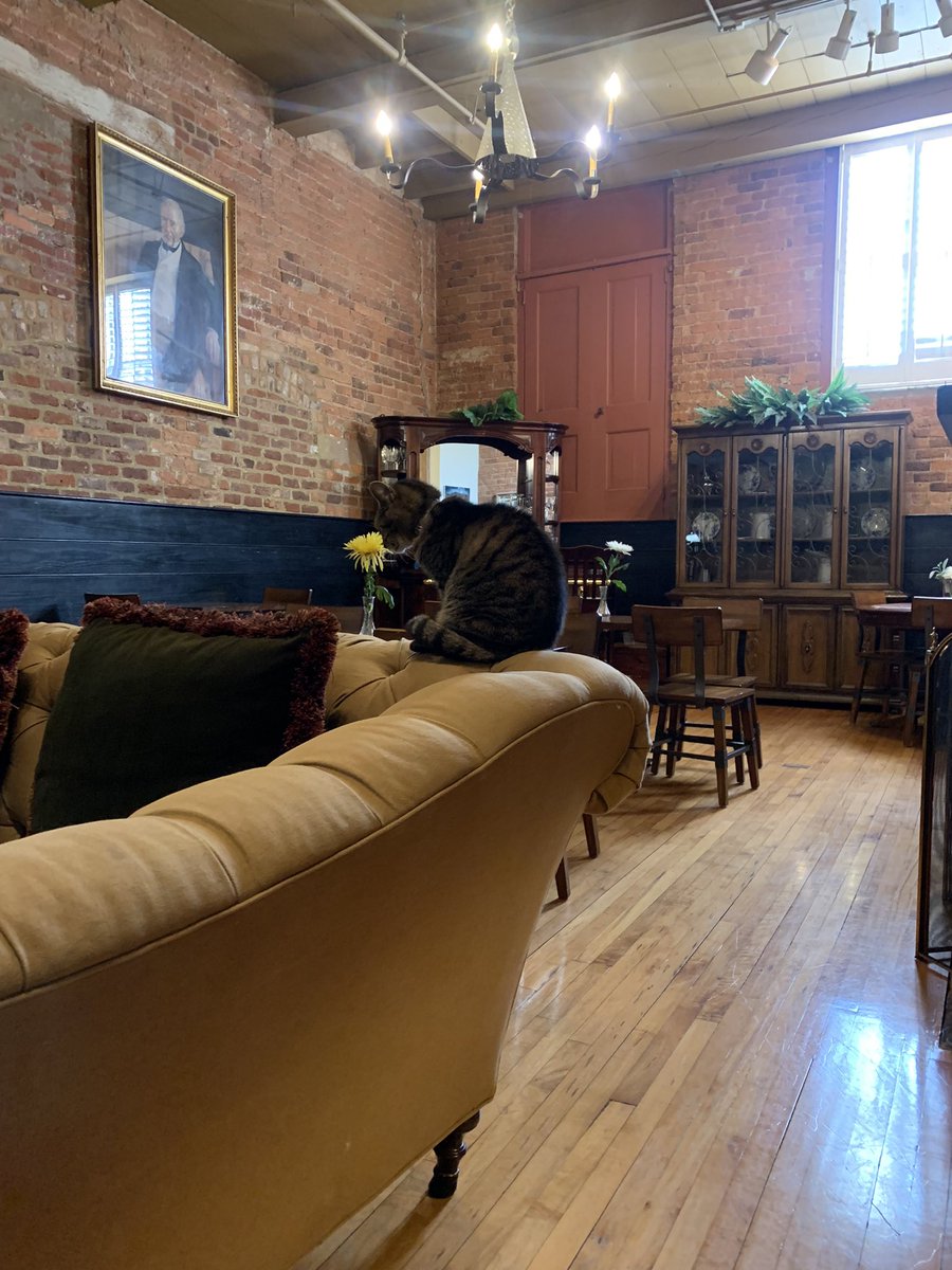 Charles and Susie Spurgeon tweet media