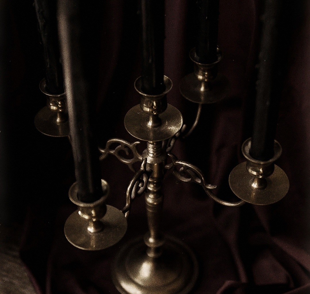 𝐷𝑎𝑟𝑘 𝐴𝑐𝑎𝑑𝑒𝑚𝑖𝑎 (@dark_academia1) on Twitter photo 