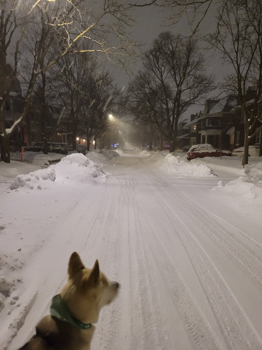 Grahame Rivers (@govgramr) on Twitter photo 