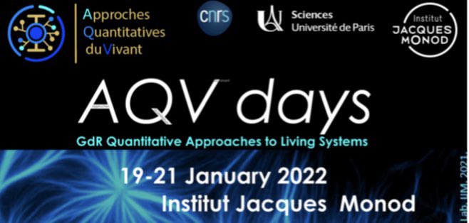 NinaSoler31's tweet photo. I will present my work during the AQV days. If you have any questions on #microtubulesdynamics during asymmetric divisions come to see my poster! https://t.co/kNUwnwAsT5