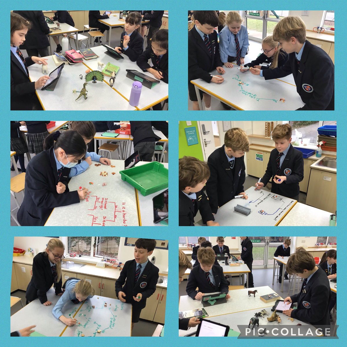 DameBradburys's tweet image. Year 6 @DameBradburys @SPFSchools putting what they have learned about the principles of classification into practice in Biology to put sweets and then toy animals into distinct groups. #AlgorithmicThinking #creativity