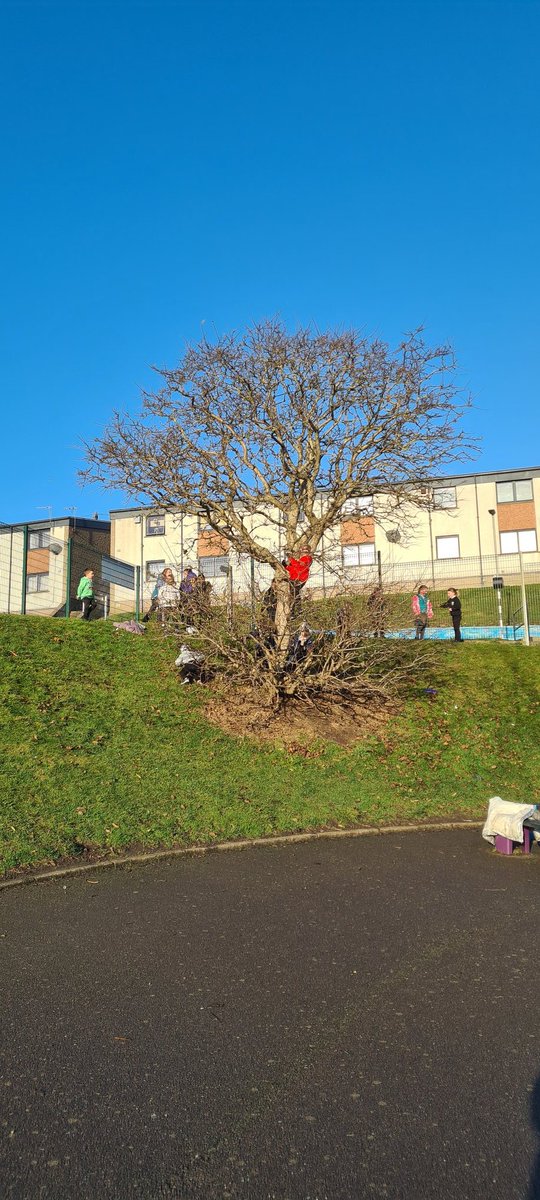 P1s, 2s and 3s loved taking some risks today and understand that it is important to be able to assess these risks carefully. 
#outdoorplay #riskassessed #workingtogether
