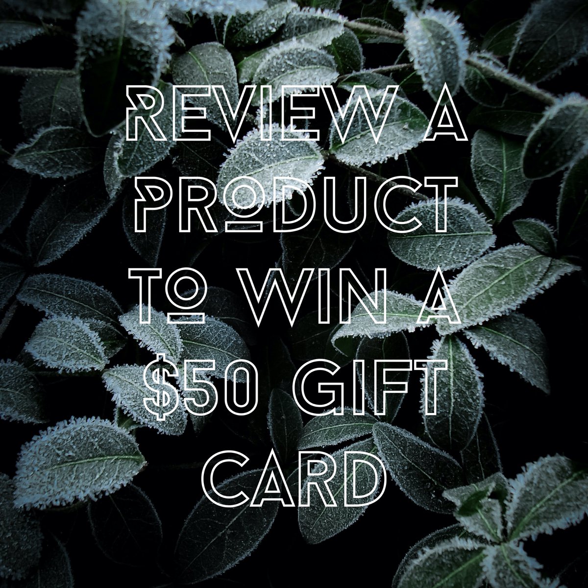 If you've bought an Akinz product you love (or even just think is cool), leave a review on Akinz.com for a chance to win a $50 Akinz gift card!