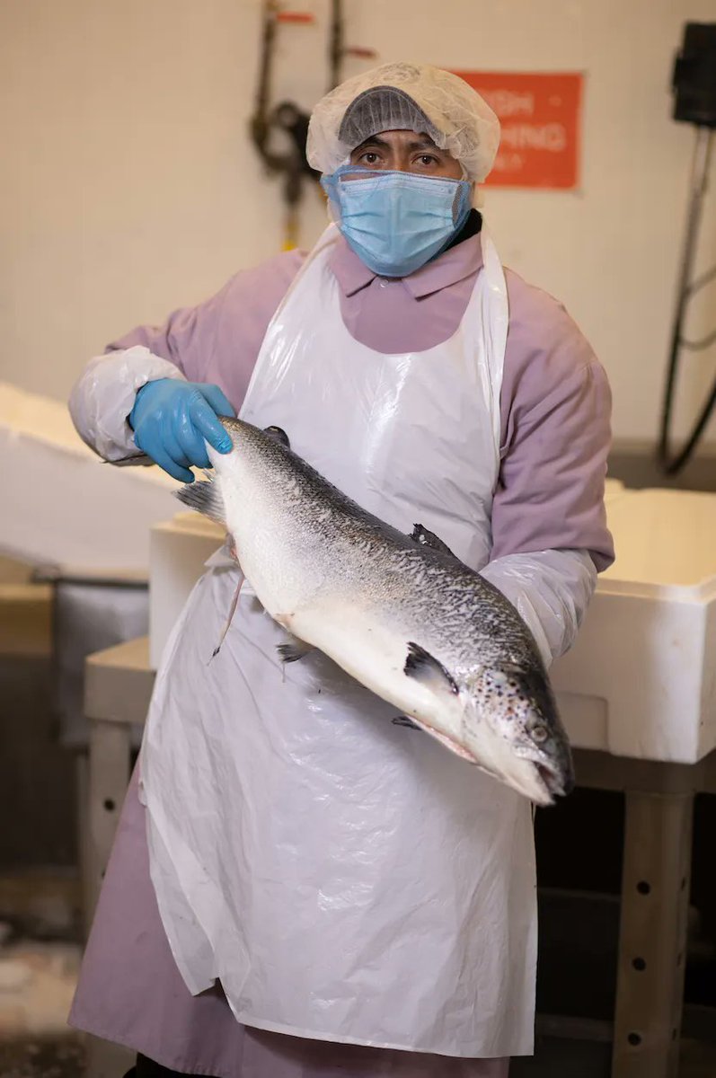 Did you know, Sierra Meat &amp; Seafood has met the Marine Stewardship Council’s (MSC) strict Standards for sustainable and traceable seafood? When you see our seafood products with the MSC blue fish, you can be confident your seafood is sustainable.