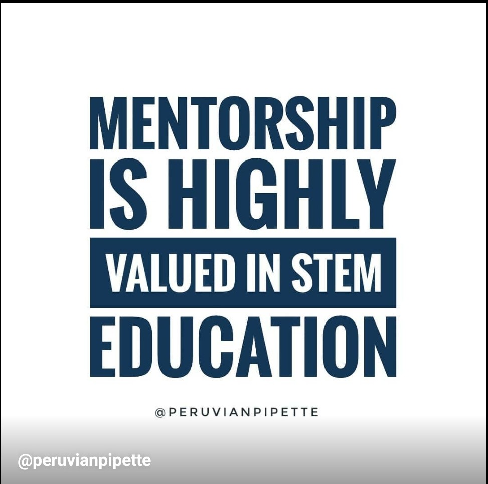 peruvianpipette's tweet photo. January is national mentoring month 💡, so I wanted to share a quick guide I made with lots of resources about Mentorship in STEM 🤓: https://t.co/AdKV11hxkl https://t.co/4UiL2L6DdS