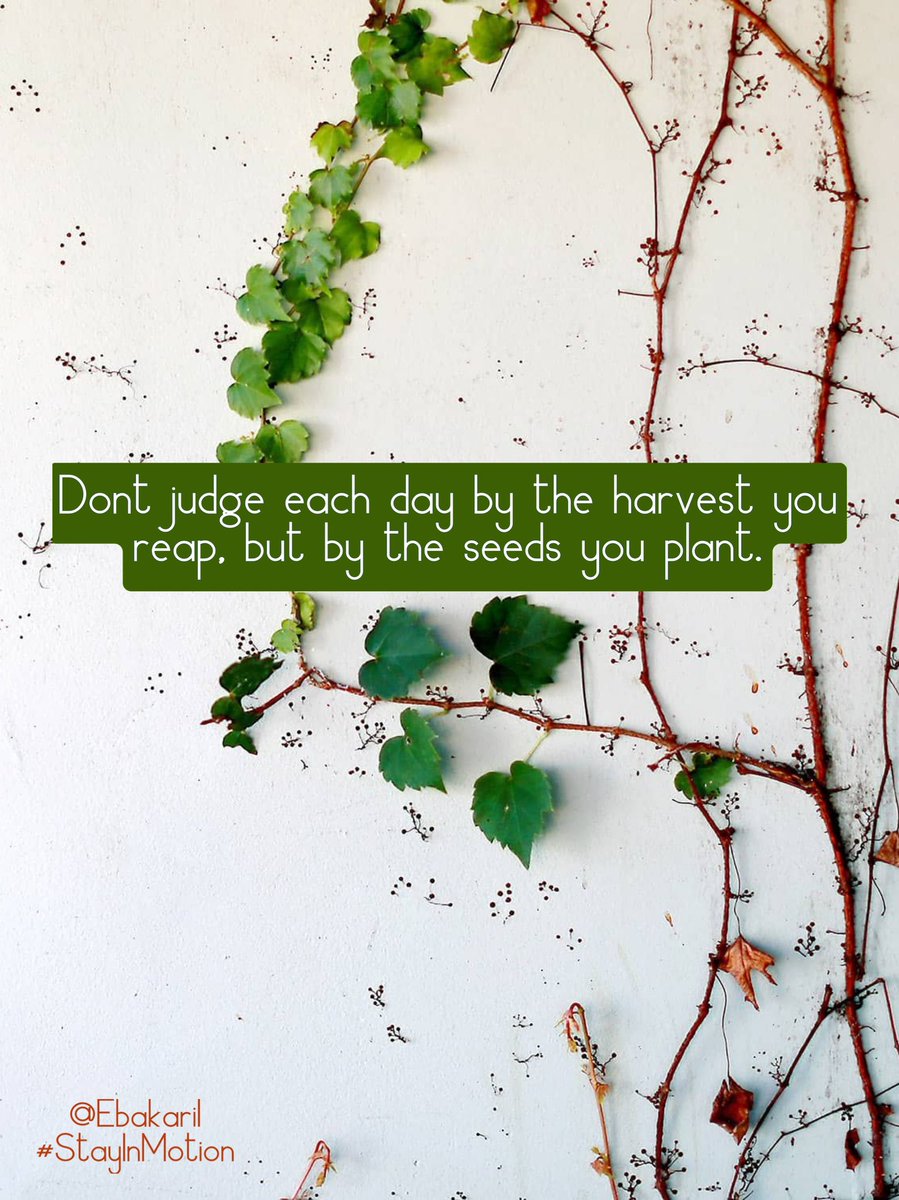 Ebakari1's tweet photo. Don't be too discouraged at how long your destined journey may take. All you can do when you wake up every day, is make sure you're taking a step forward on that journey. Your future started yesterday. #StayInMotion 💫🌊 https://t.co/poFSvgP9Vw