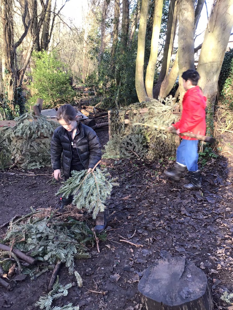 Walton C of E Primary tweet media