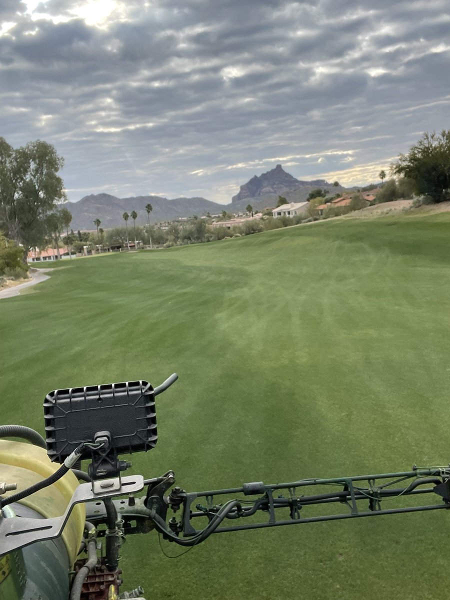 From The Jingweeds Podcast tweet media