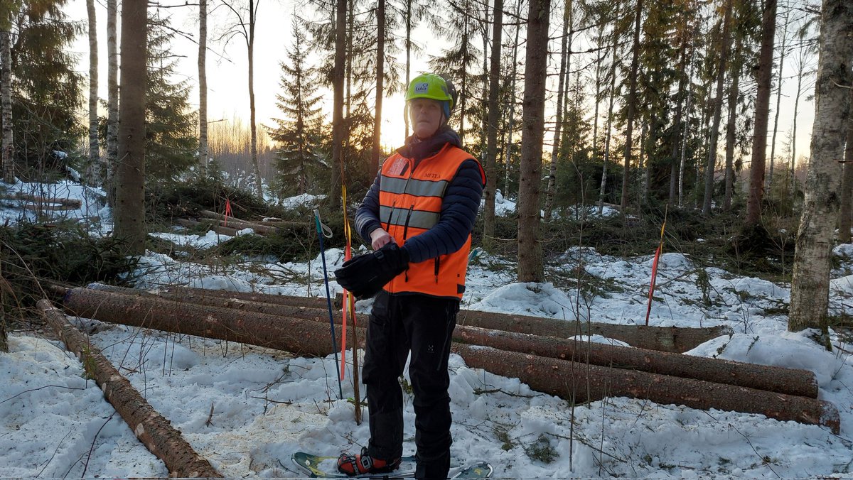 LauriSikanen's tweet photo. Jatkuvapeitteisen metsänkasvatuksen (CCF) pienaukkoa ja poimintaa on nyt tullut melkein 7ha alalle. Hienosti jätetty lahopuut ehjiksi ja varjeltu jäävät puut. Kohmansalon Metsäkuljetus ja @storaenso hoitivat homman huippuhyvin. @LukeFinland ja metsänomistaja kiittävät. https://t.co/VK3VK5boA0