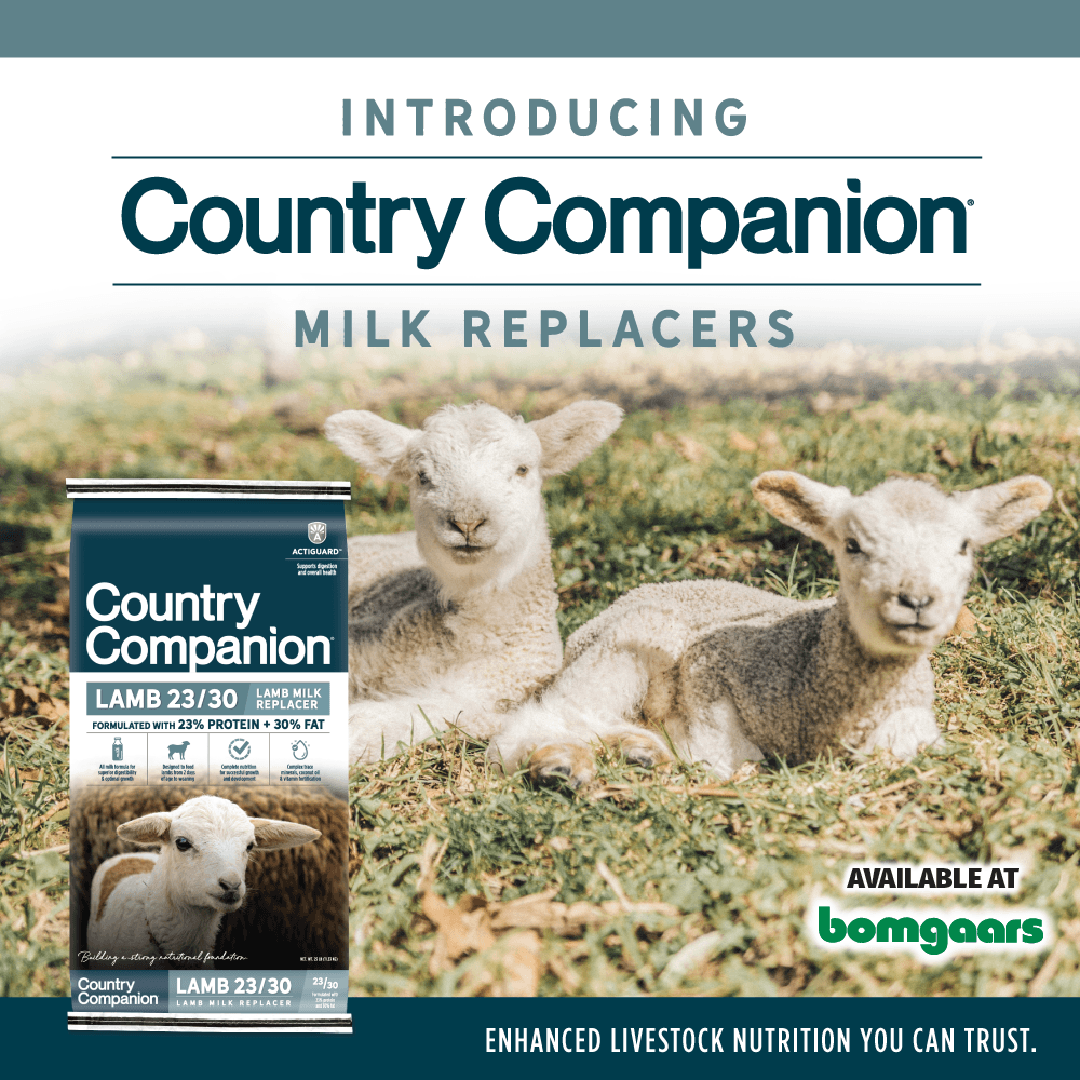 BomgaarsSupply's tweet photo. Bomgaars is proud to introduce Country Companion Milk Replacers available at your local #Bomgaars store! Enhanced livestock nutrition you can trust. #milkreplacers #shopbomgaars #countrycompanion https://t.co/iyoMbIqSDU