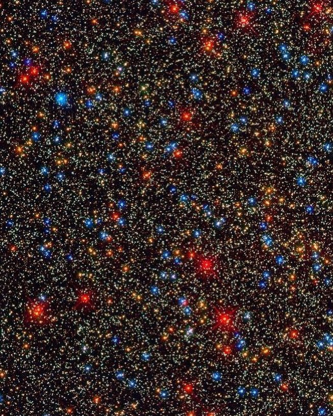 Denis ♪ 🔄 (@itsofficialleon) on Twitter photo 