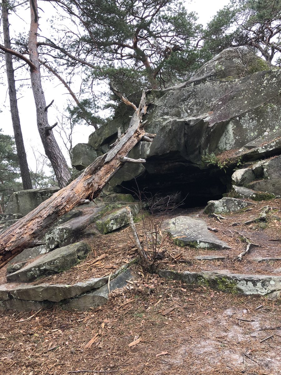 C2Valence's tweet photo. Petit moment sans connexion, sans mail, sans wifi…. Juste ce que la nature nous offre 🐾🌳 https://t.co/RNHc7mP7bv