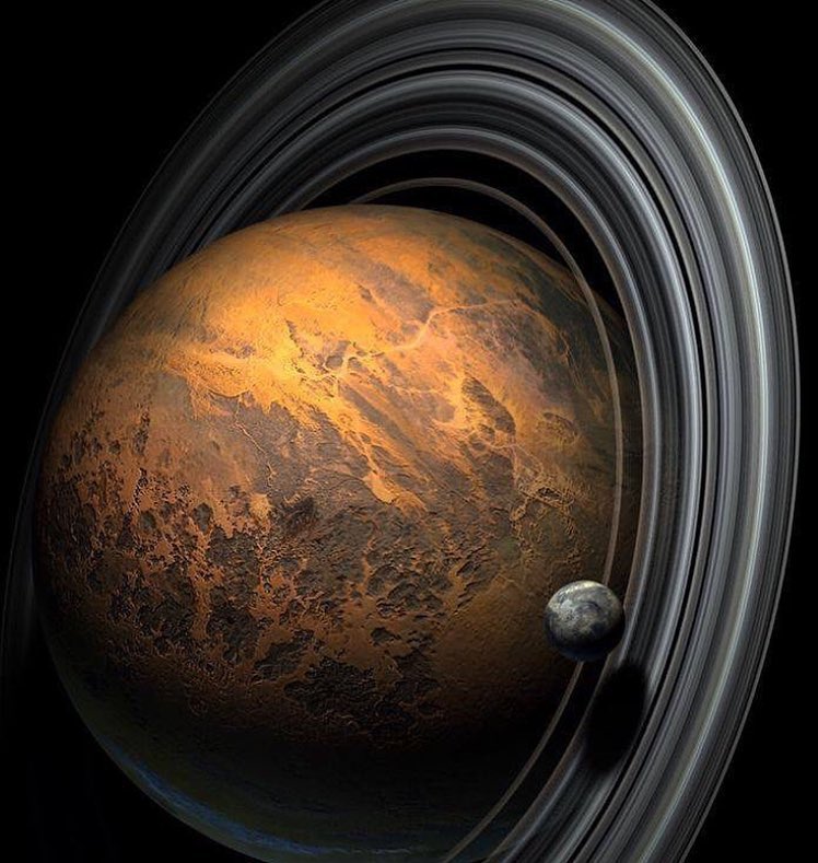 Denis ♪ 🔄 (@itsofficialleon) on Twitter photo 