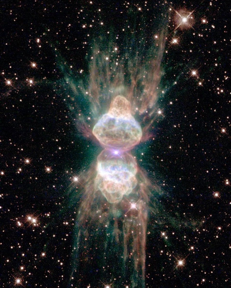 Denis ♪ 🔄 (@itsofficialleon) on Twitter photo 