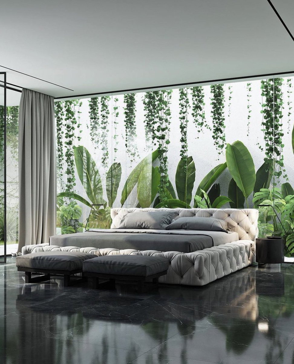 Taurus,Virgo,Pisces,Libra, Leo and Sagittarius dream room