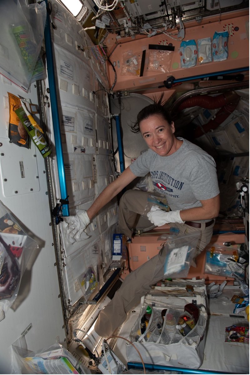 NASASpaceSci's tweet image. Studying disease-causing bacteria & fungi in space could help researchers better understand microbial virulence and antibiotic resistance. Data gathered aboard @Space_Station will augment the open science already available to researchers via @NASAGeneLab. go.nasa.gov/3ILo6cs