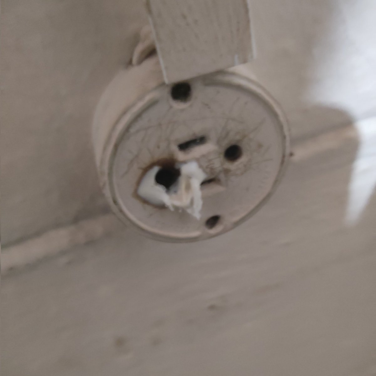 elMor3no_'s tweet photo. Só deixando aqui pra lembrar que esses adaptadores são o caminho mais curto pra criar um incêndio...
Nunca ligue um electrodomésticos de 20A... Não soporta...
#20Amp https://t.co/rJ2UYdM2RX