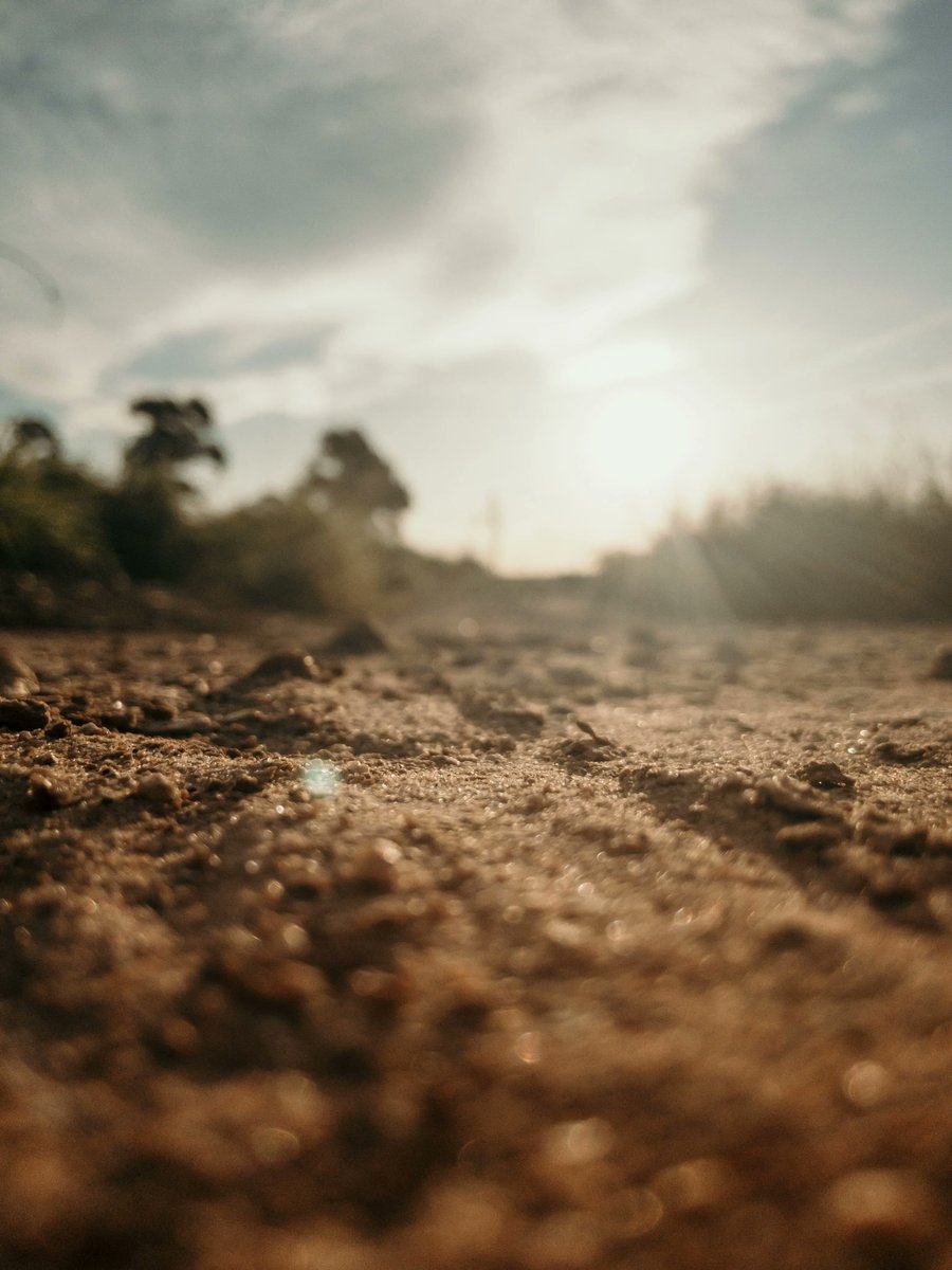 Did you know… "For every 1 percent increase in soil organic matter, we sequester 8.5 tons per acre of atmospheric carbon." - Eric Toensmeier, The Carbon Farming Solution #soilhealth #soilsolution #carbonsequestraion #regenerativeag