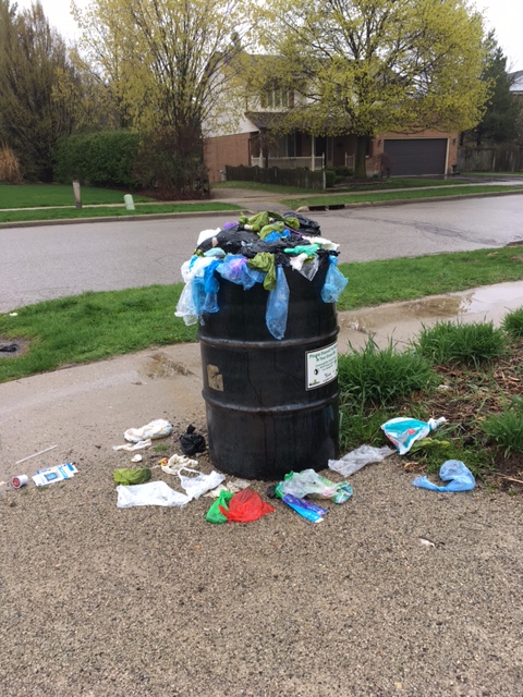 citywaterloo's tweet photo. How it started, how it’s going. Dog poop does wonders for the environment, when you drop it into a dog waste recycling container. We don’t want to see dog poop on the ground when the snow melts! Thanks dog owners, for joining the #PoopPower movement! https://t.co/k26MsHwKFX https://t.co/20D0ffbgxl