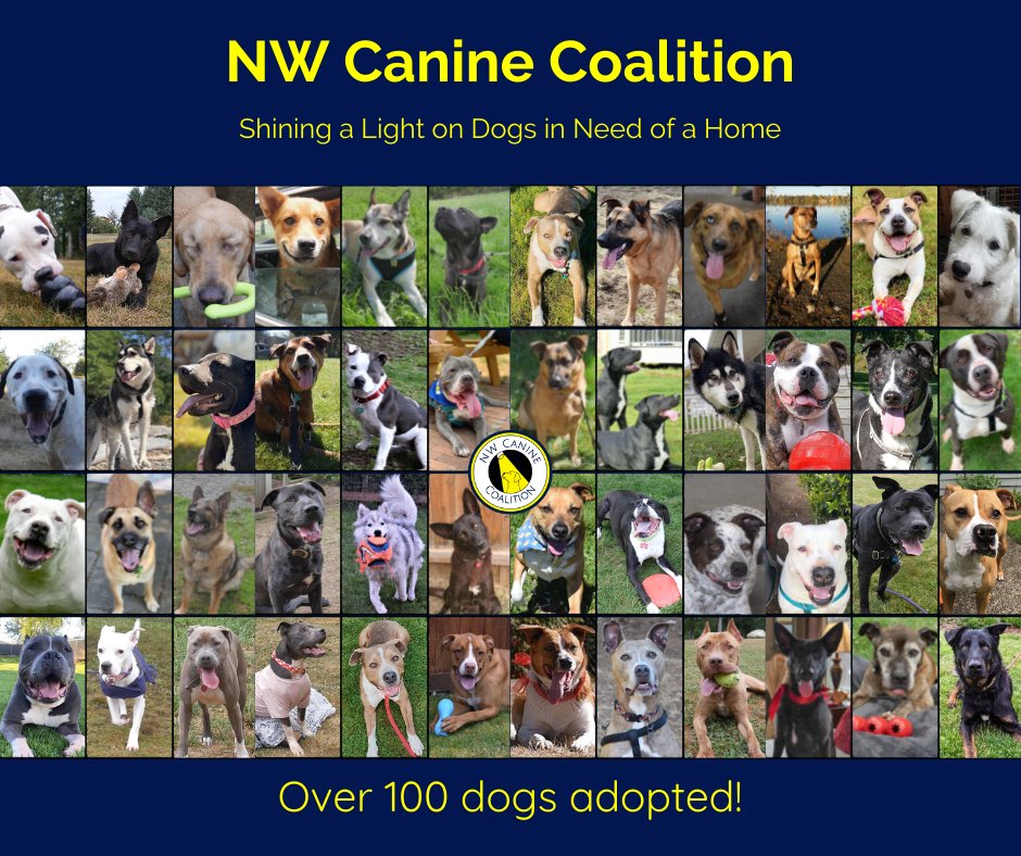 We invite you to visit our Instagram, Facebook, and LinkedIn for a message from our Founder, Kathleen Hunter.

Thank you for all of your support! 🐾

#nwcc #nwcaninecoalition #foodforfosters