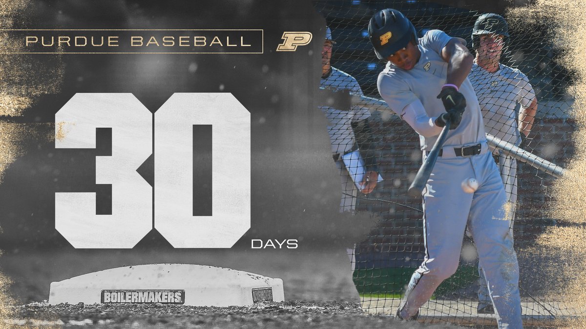 Purdue Baseball tweet media
