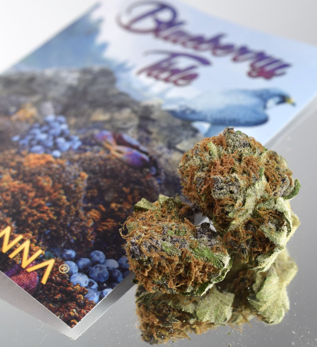 SeattleHashtag's tweet photo. What a selection from @falcanna_wa! Which are you reaching for?
#falcanna #WAgrown #privatestash #blueberrytide #candyqueen #strainselection #wednesdaywisdom https://t.co/TyZaxYw6yU