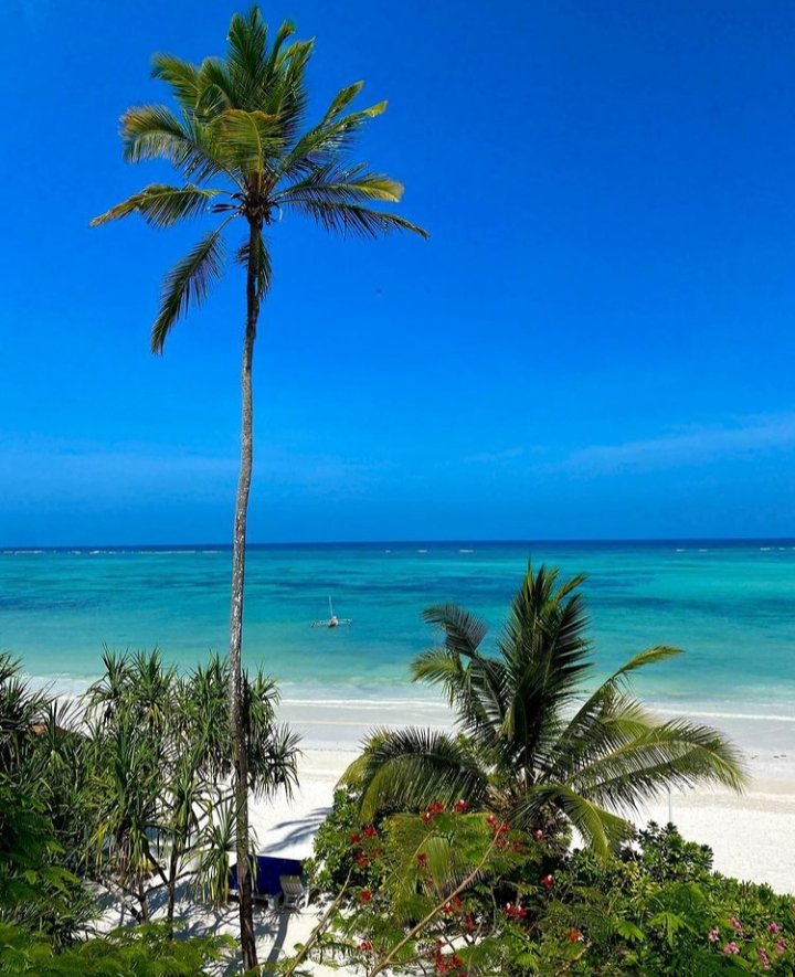SalumAhmedDr's tweet photo. Welcome to Zanzibar. https://t.co/jcp2uizjce