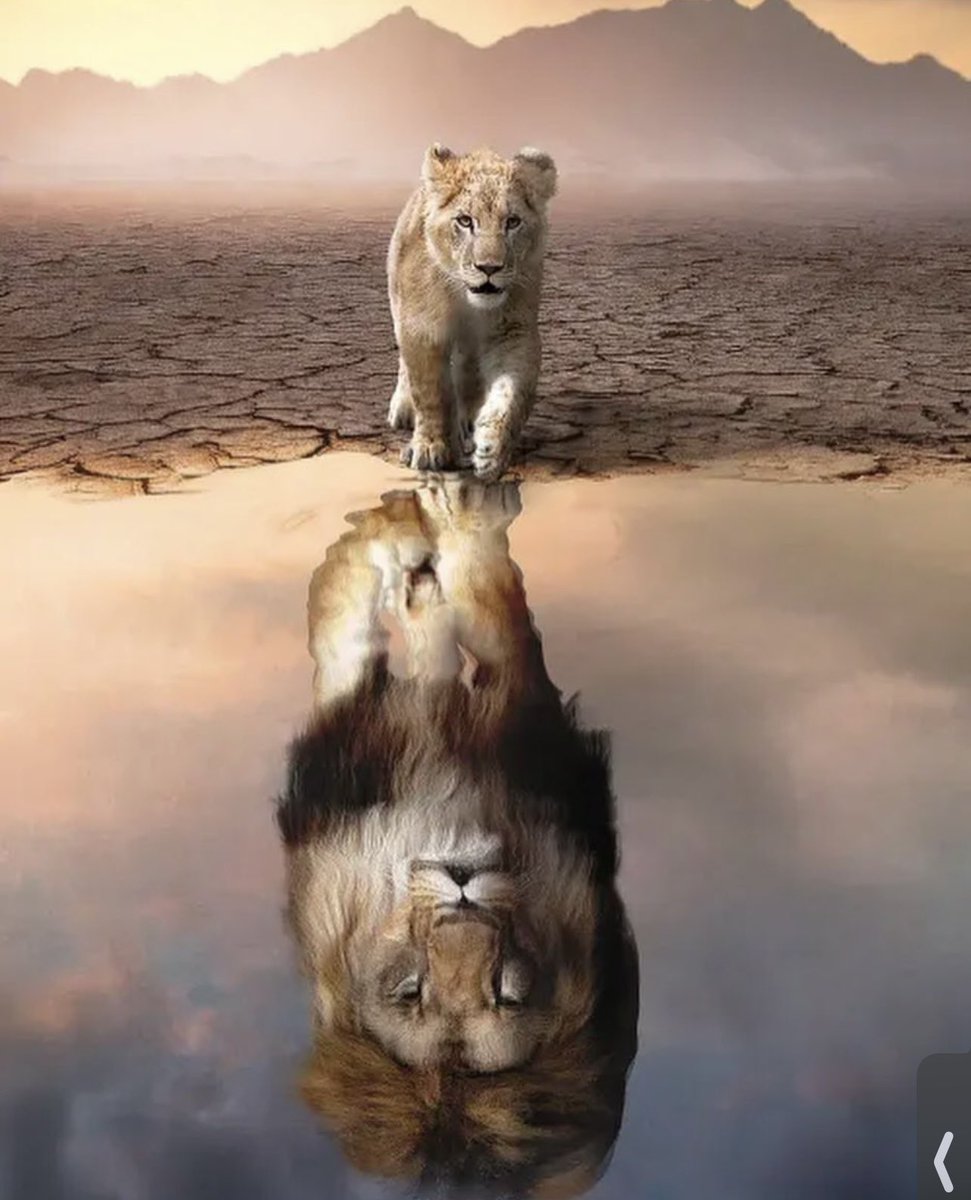 KeyesEljah's tweet image. ….