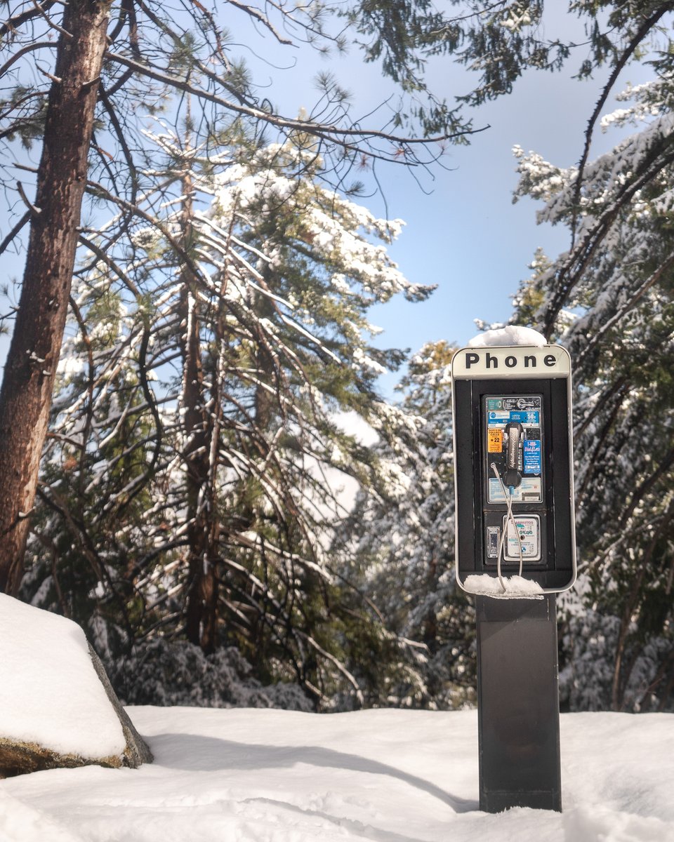 PAYPHONES (@payphones_) on Twitter photo 